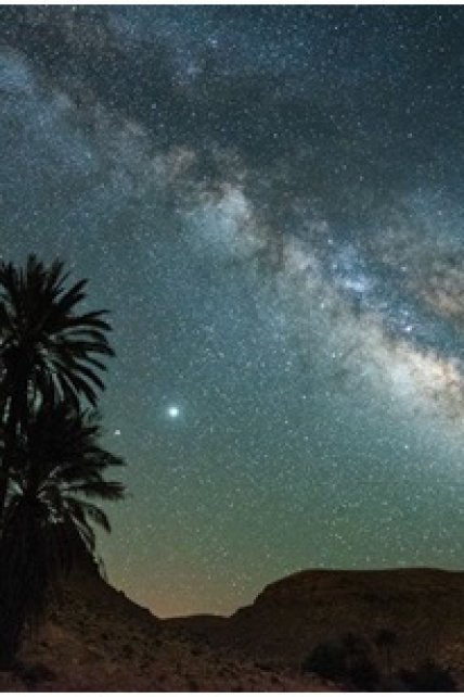 Immersion dans le Désert