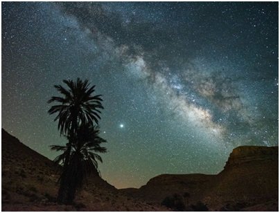 Immersion dans le Désert