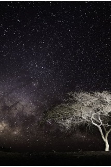 Séances Photo Nocturnes