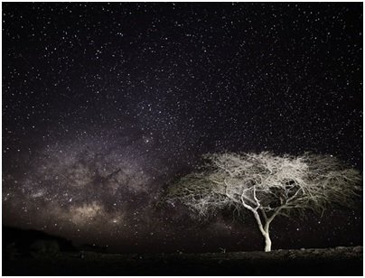 Séances Photo Nocturnes