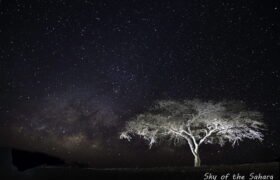 Acacia sous la Voie lactée dans la Tadrart en Algérie